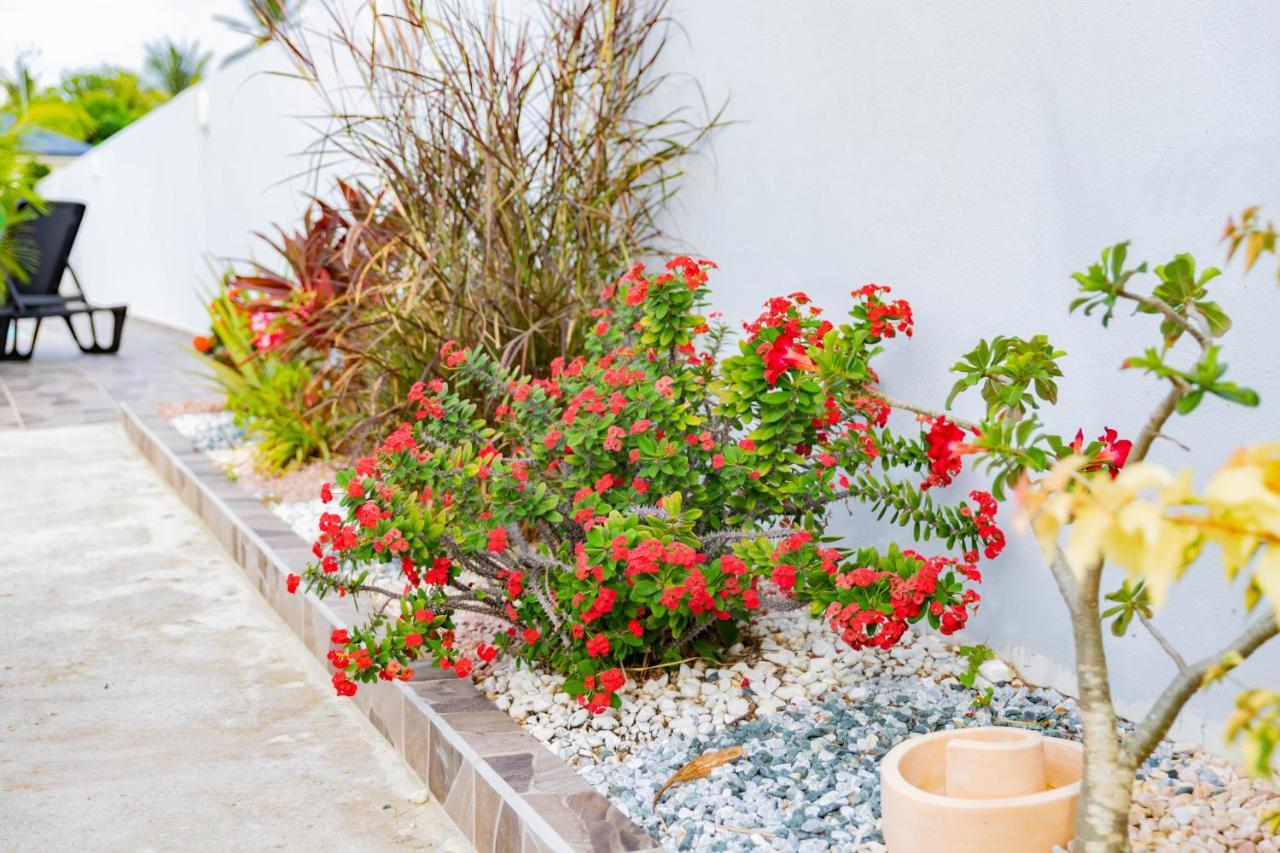 Promo ! Les Paisibles Villas C & G Richeplaine Exterior foto